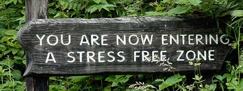 Coping with financial stress in 2020